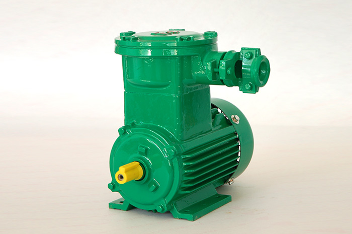 YBX4系列隔爆型三相異步電動機(jī)